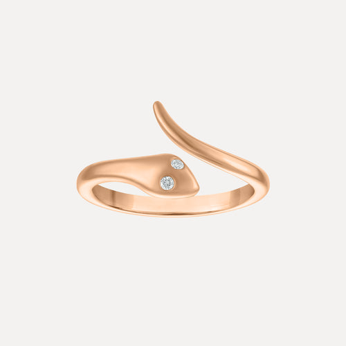 Anillo de Serpiente