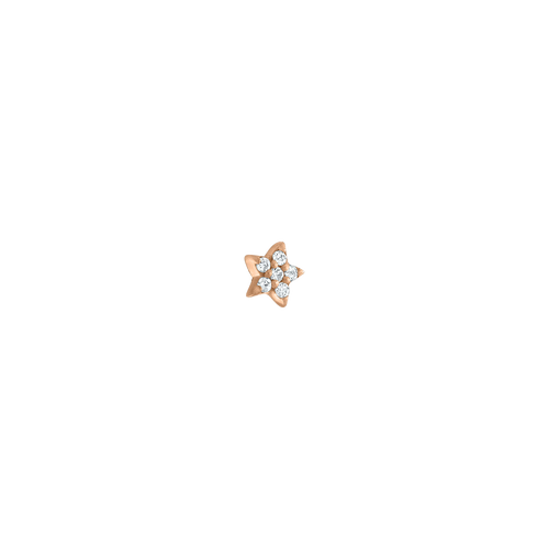 Arete Estrella de Diamante con Rosca Interna